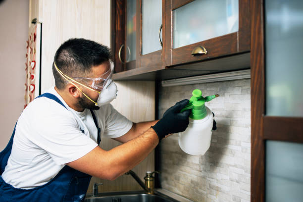 Best Pest Inspection Near Me  in Mount Vernon, IA