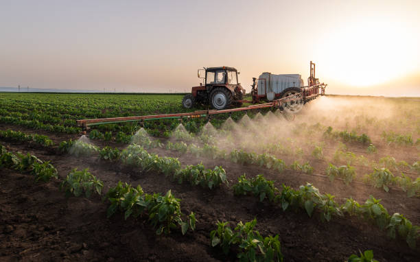 Best Ant Control Services  in Mount Vernon, IA