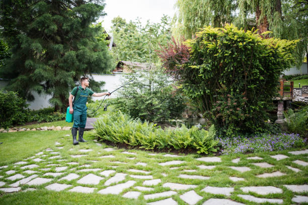 Best Local Pest Control Services  in Mount Vernon, IA