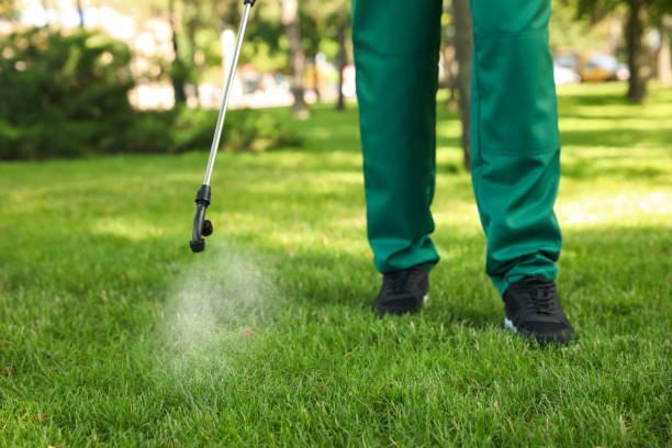 Best Pest Removal Services  in Mount Vernon, IA
