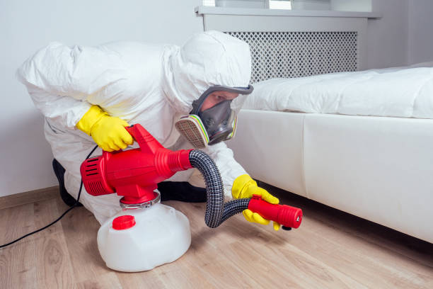 Best Flea Control Services  in Mount Vernon, IA