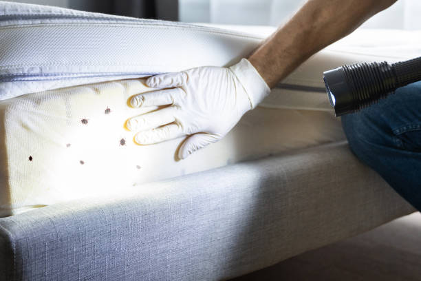 Trusted Mount Vernon, IA Pest Control Experts