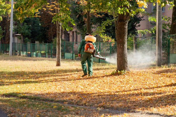 Best Pest Prevention Services  in Mount Vernon, IA
