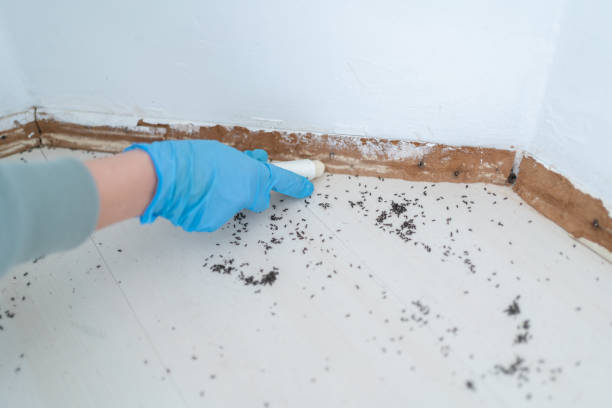  Mount Vernon, IA Pest Control Pros